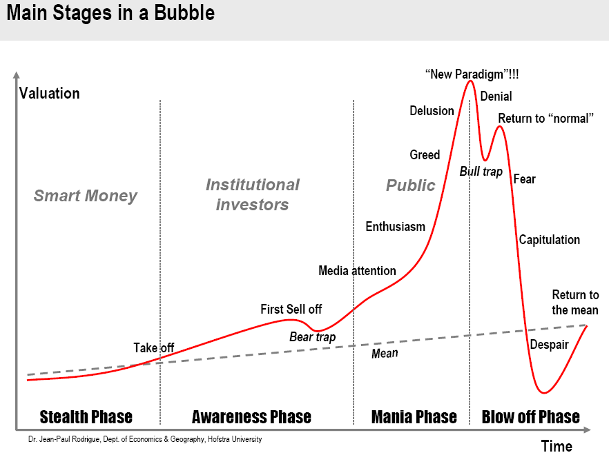 anatomy of a stock market crash